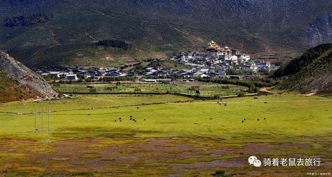 长江天险与生肖之谜，探寻文化与自然的奇妙融合