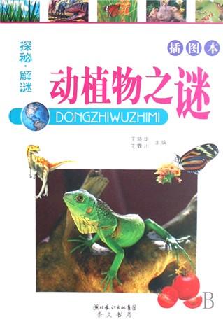 探秘生肖之谜，大街小巷中的生肖奥秘与形形色色的文化解释