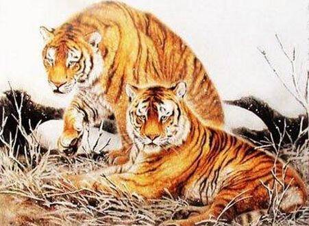 身强力壮的生肖之谜，揭秘牛的愉快解释与落实