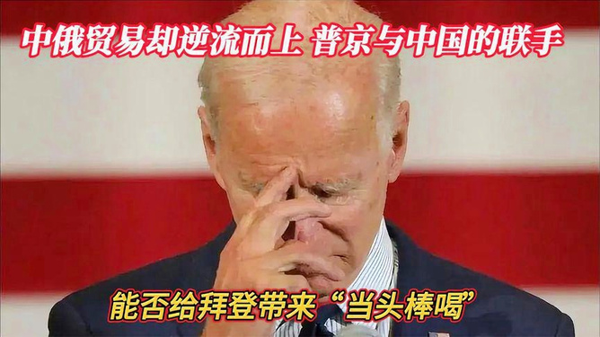 揭秘当头棒喝，精准解析与生肖之谜