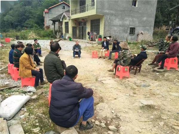 眼高手低的动物是什么生肖、正确解释与落实