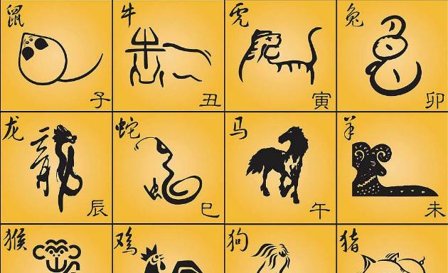 捉贼见赃，揭秘生肖背后的智慧与寓意