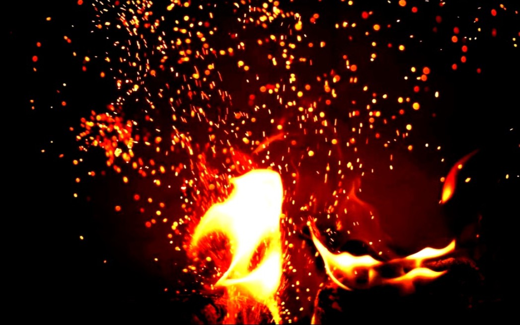 星星之火，生肖鼠的微光与无垠的落实