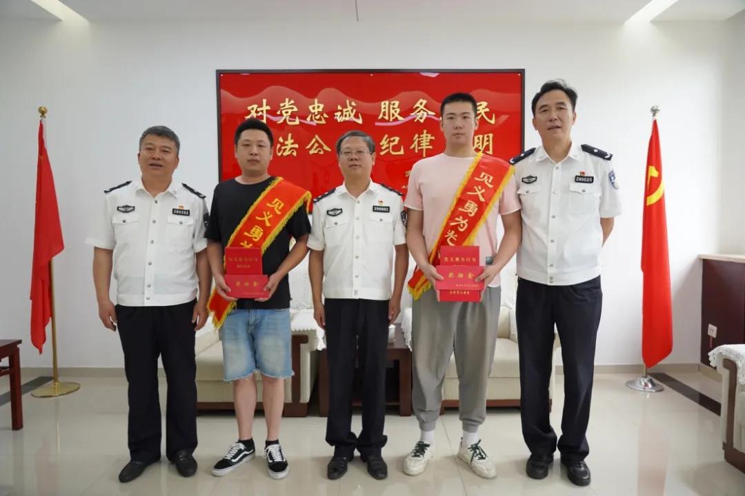 挺身而出，生肖中的勇敢者—揭秘马的独特寓意