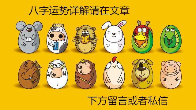 目光如豆打一生肖，揭秘背后的文化寓意与智慧