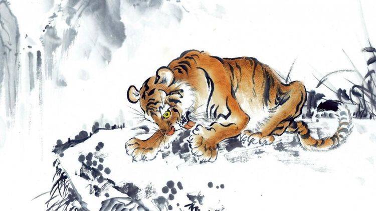 叱咤风云的生肖、最佳作答落实解释