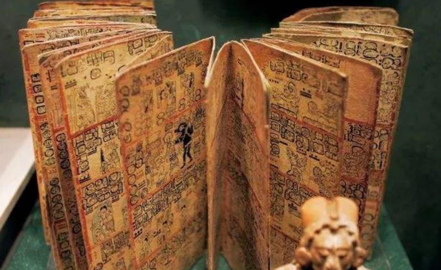 令出如山打一动物、定量作答落实解释 令出如山打一动物、定量作答落实解释