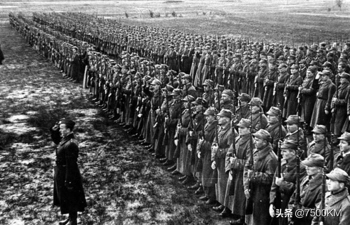 雁过留声与生肖之谜，乐观作答的智慧解读