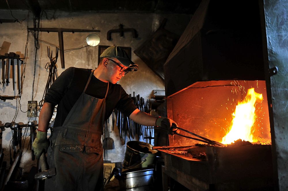 炉火纯青，揭秘生肖背后的奥秘