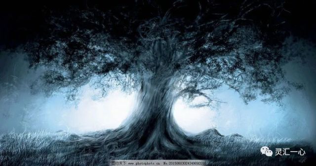 孤魂野鬼与生肖之谜,深度解析与精准解答 孤魂野鬼与生肖之谜,深度解析与精准解答