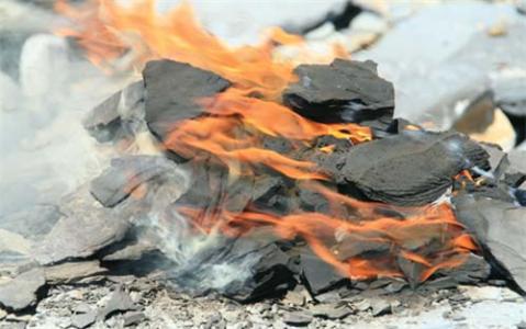 欲钱买三心二意的动物,解密与启示 欲钱买三心二意的动物,解密与启示