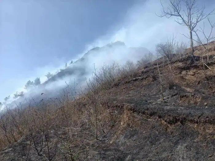 三天三夜火烧山打一生肖:详细解释落实