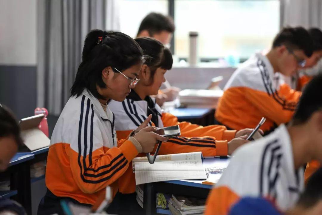 邯郸学步与生肖之谜，揭秘最快解答的智慧