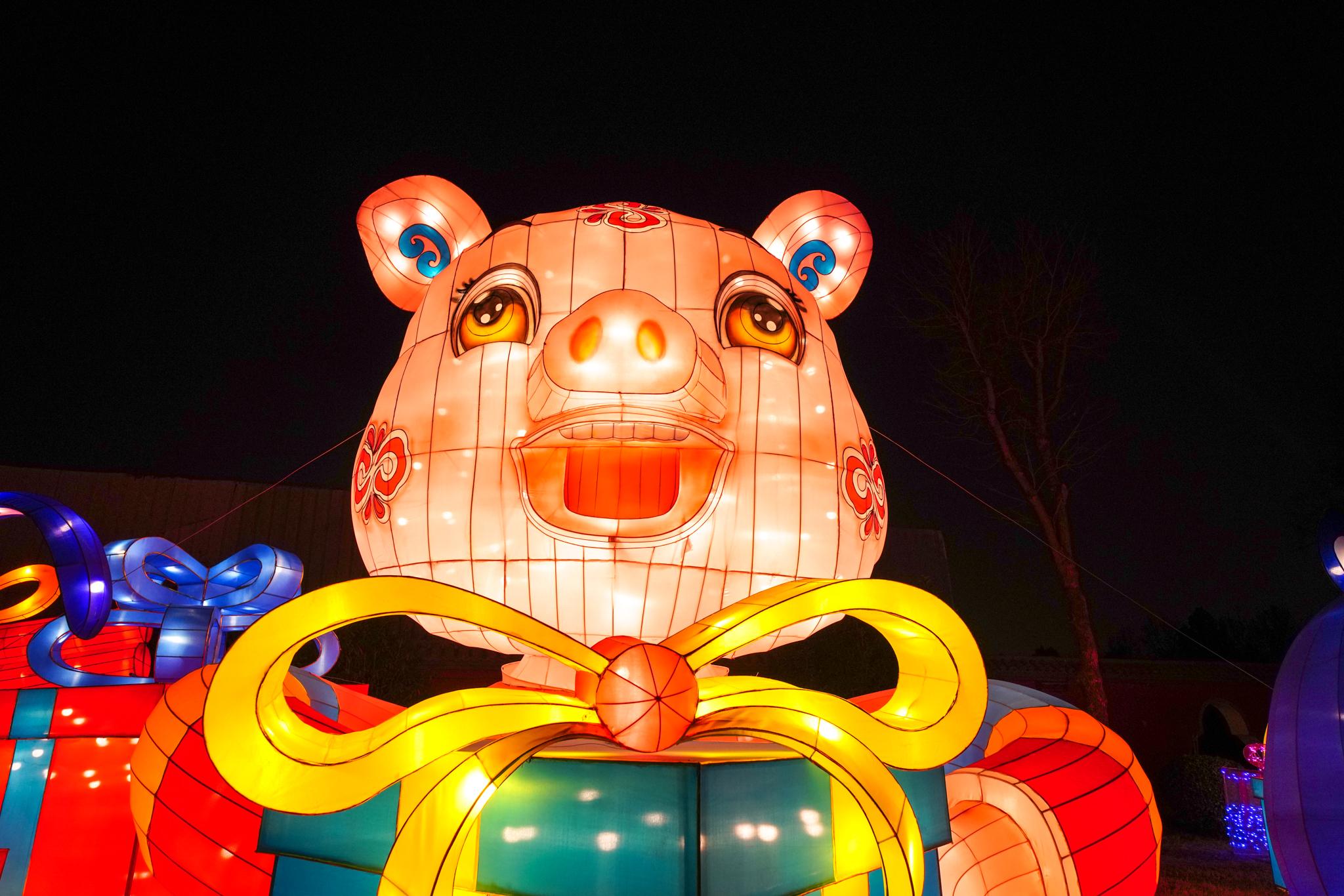 肥头大耳的生肖谜团与友爱作答的温馨解读