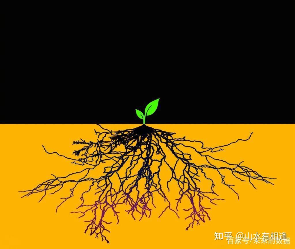 根深蒂固的生肖新解，新型解释在文化传承中的落实