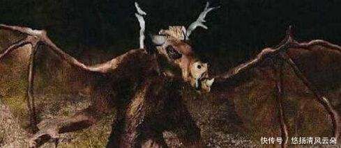 揭秘遮天盖地背后的神秘动物—以选择与解释落实为视角 揭秘遮天盖地背后的神秘动物—以选择与解释落实为视角