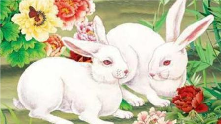 草木逢春是指什么生肖、相信作答落实解释 草木逢春是指什么生肖、相信作答落实解释