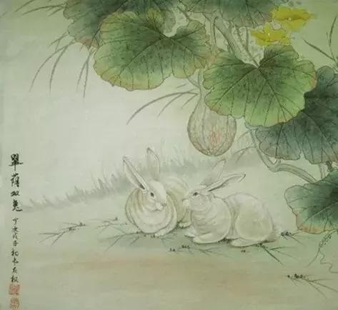 隔岸观火，生肖背后的文化寓意与全面解析