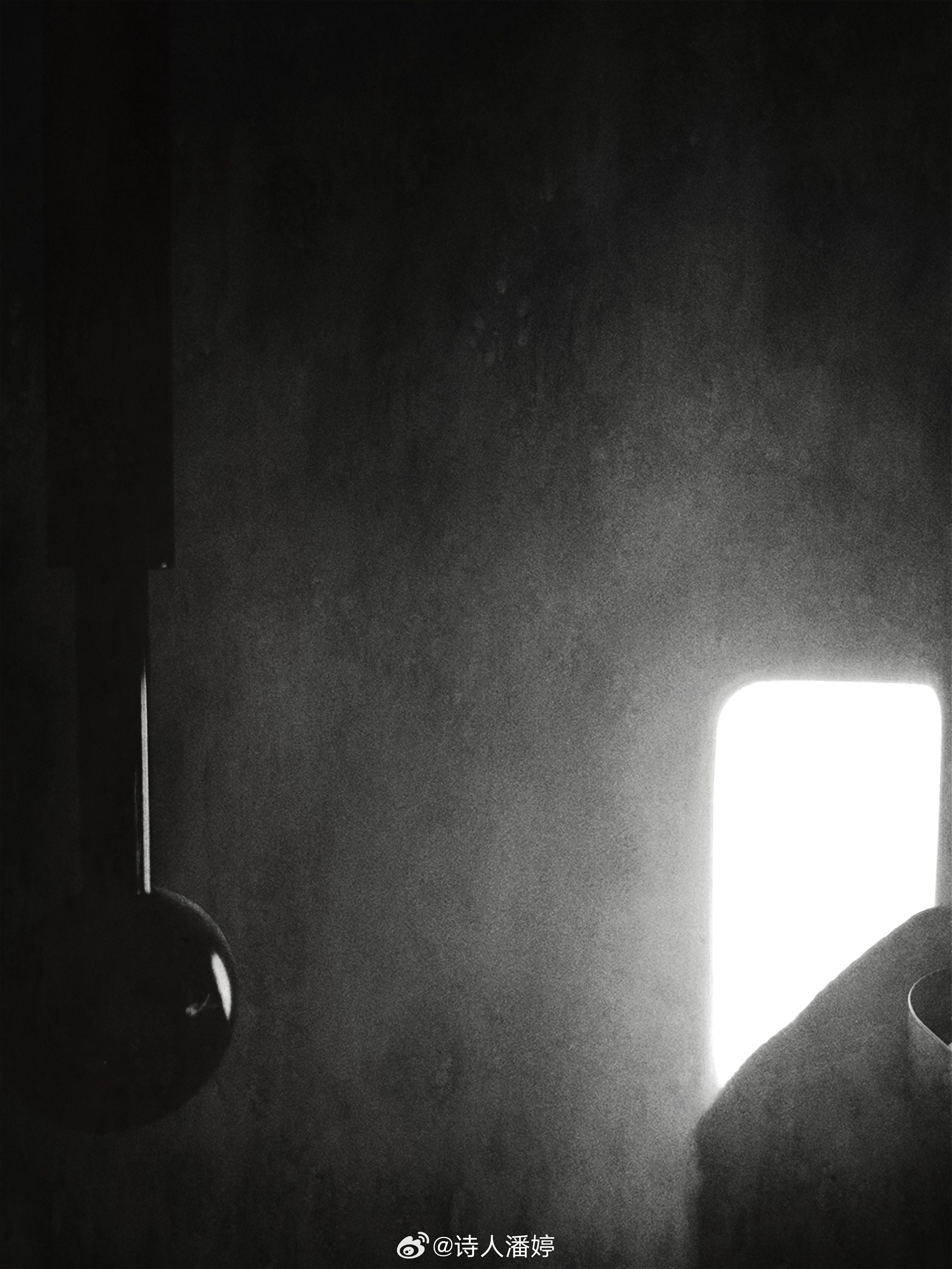 冥冥之中，生肖之谜的首次揭晓