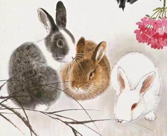 花好月圆打一个生肖:权威揭晓落实