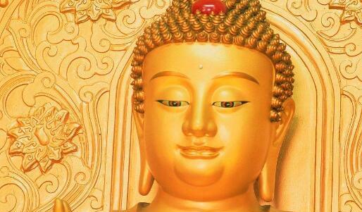 冥冥之中是什么生肖、采民作答落实解释