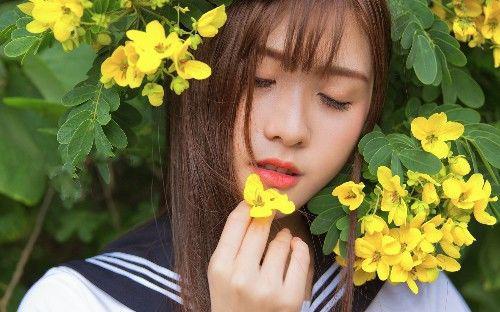 黄花女儿打一准确生肖:马上为你揭晓落实