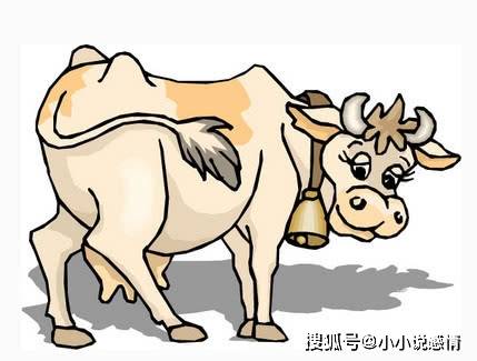 蒙头转向打一准确生肖、合作解释落实