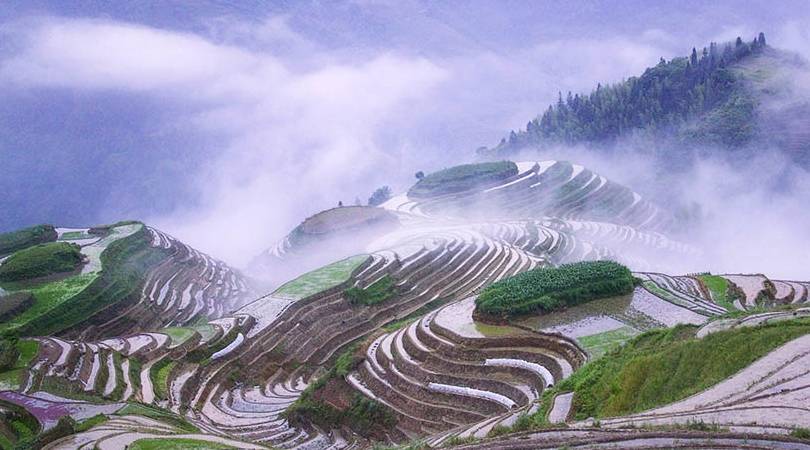 十山八里出真人指什么生肖、专业解释落实