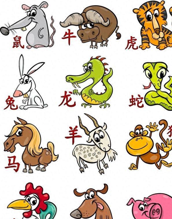 左右为难指什么生肖:词语解析解答落实