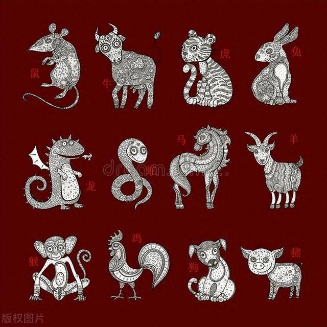 破釜沉舟，生肖之谜与创新精神的深度解读