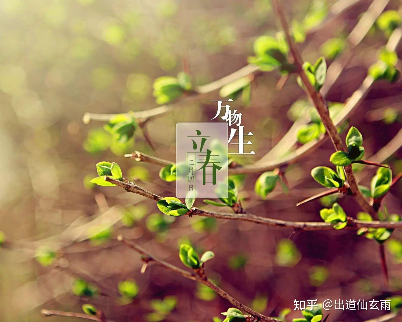 草木逢春是指什么生肖、相信作答落实解释