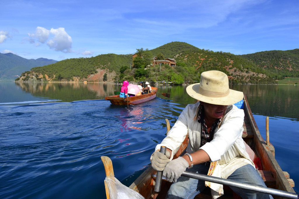 云游天下，生肖之谜的探索与解读