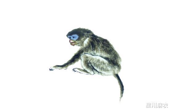 揭秘一身二任的生肖，属猴者的独特魅力与智慧