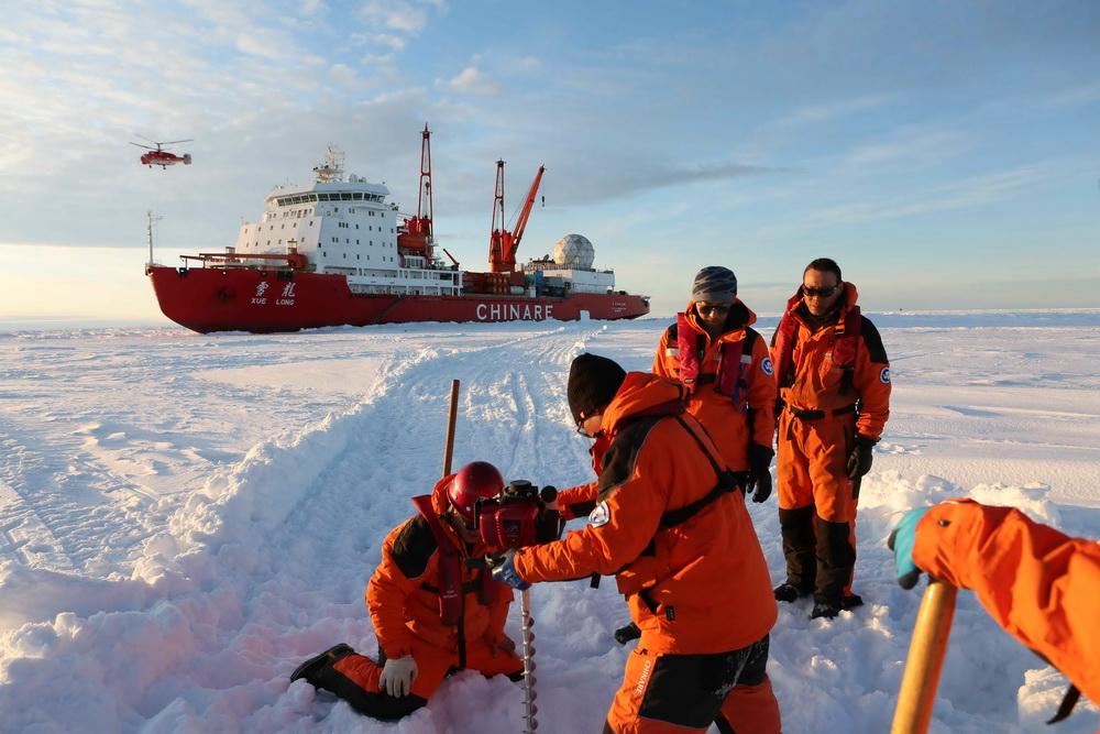 雪海冰山打一正确生肖、激励解释落实