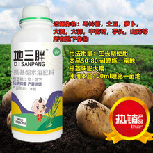 实地入胍旺千年指什么生肖呀:权威揭晓落实