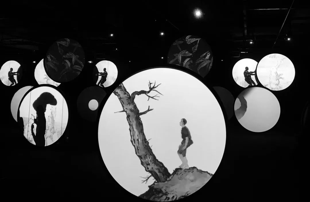 揭秘三长两短背后的生肖奥秘，一场文化与智慧的深度探索