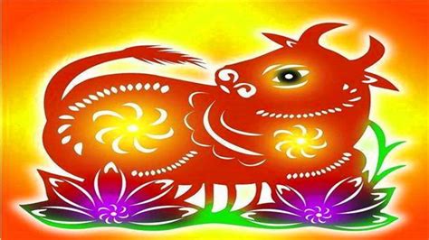 如痴如醉打一生肖、绝佳作答落实解释