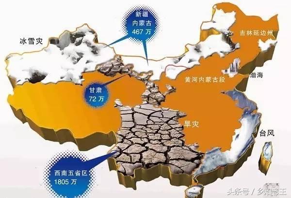 风调雨顺报喜事是什么生肖、最佳作答落实解释