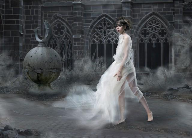 孤魂野鬼与生肖之谜，深度解析与精准解答