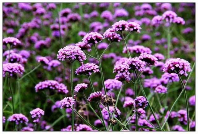 盘成一团来休息的生肖、独特解释落实