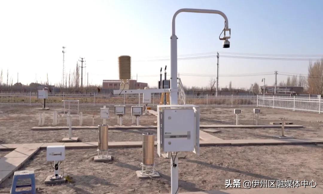 揭秘神憎鬼厌背后的神秘动物，最快解答与科学落实