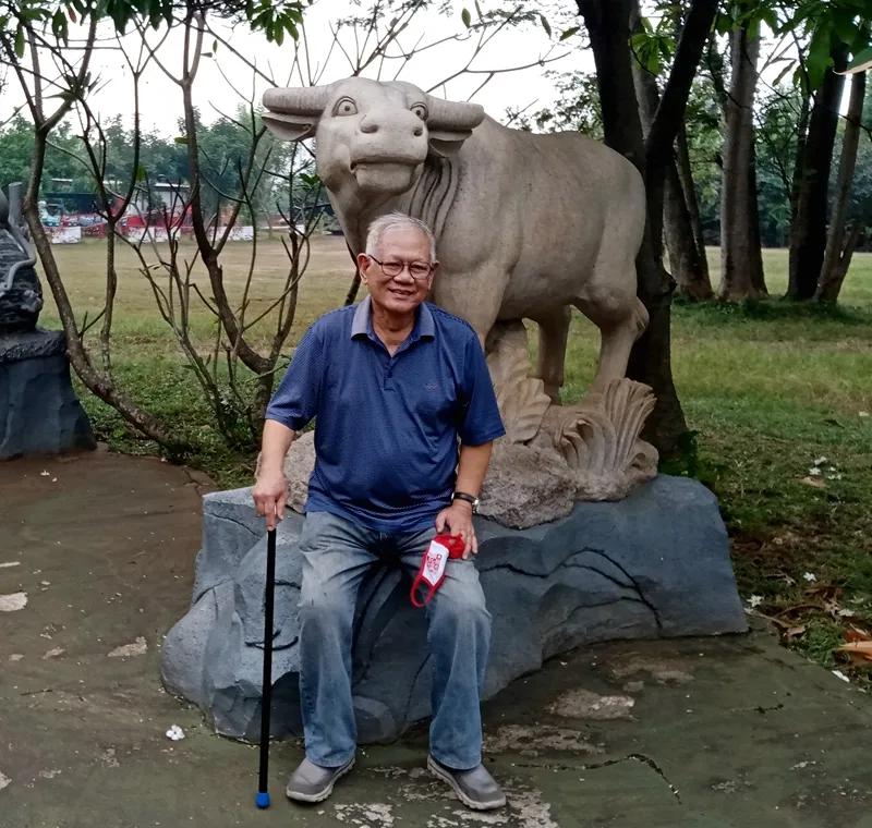 祸不单行，生肖背后的文化解读与现实启示