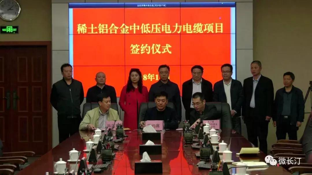 吊儿郎当的猫趣,从佩服到行动的落实 吊儿郎当的猫趣,从佩服到行动的落实