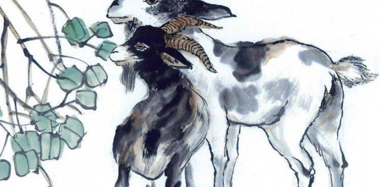 逆来顺受的生肖，属羊人的性格解析与最新作答落实解释