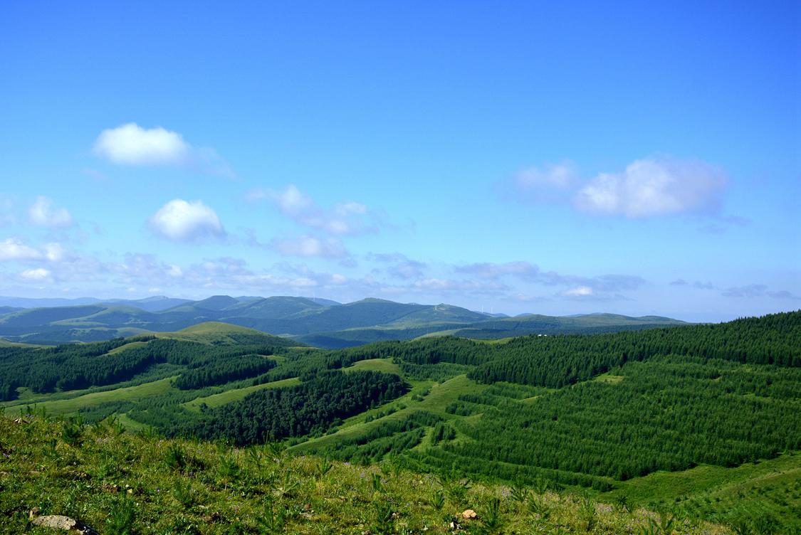 晴空万里，生肖背后的文化寓意与最新解释落实