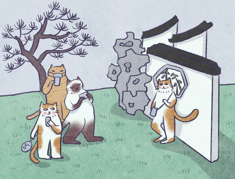 揭秘举足轻重背后的生肖奥秘，以鼠为引，细说继续作答的智慧