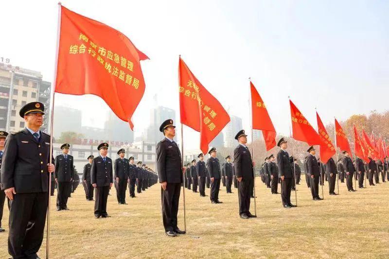 探索后起之秀的生肖奥秘，以通用解释落实为视角