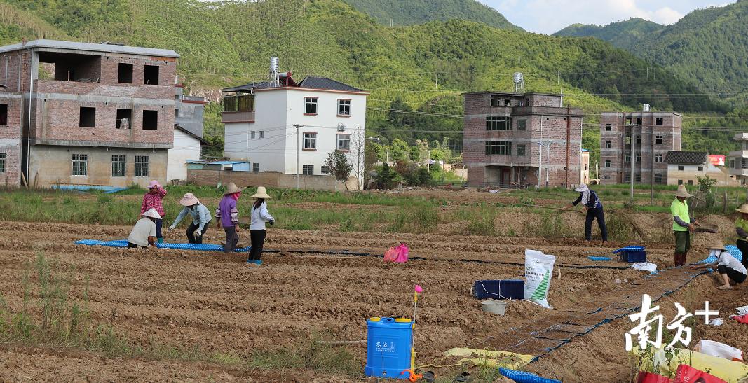 逢场作戏是什么生肖、沉稳解释落实