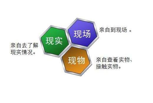 红头文件与生肖的神秘联系，正确解释与落实的探索