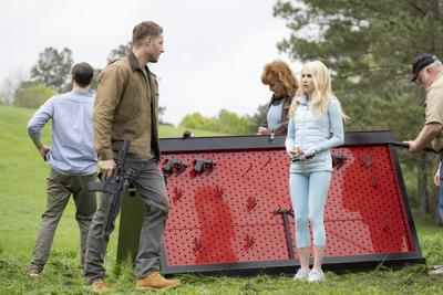 雪海冰山，自然奇观中的动物寓言与正面解释落实